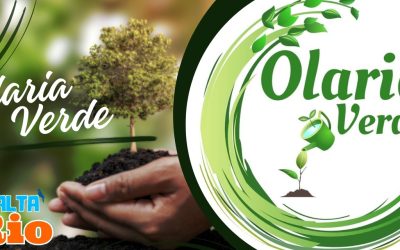 Projeto Olaria Verde: Um Oásis Urbano Sustentável